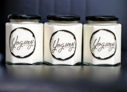 Yogury plain yogurt